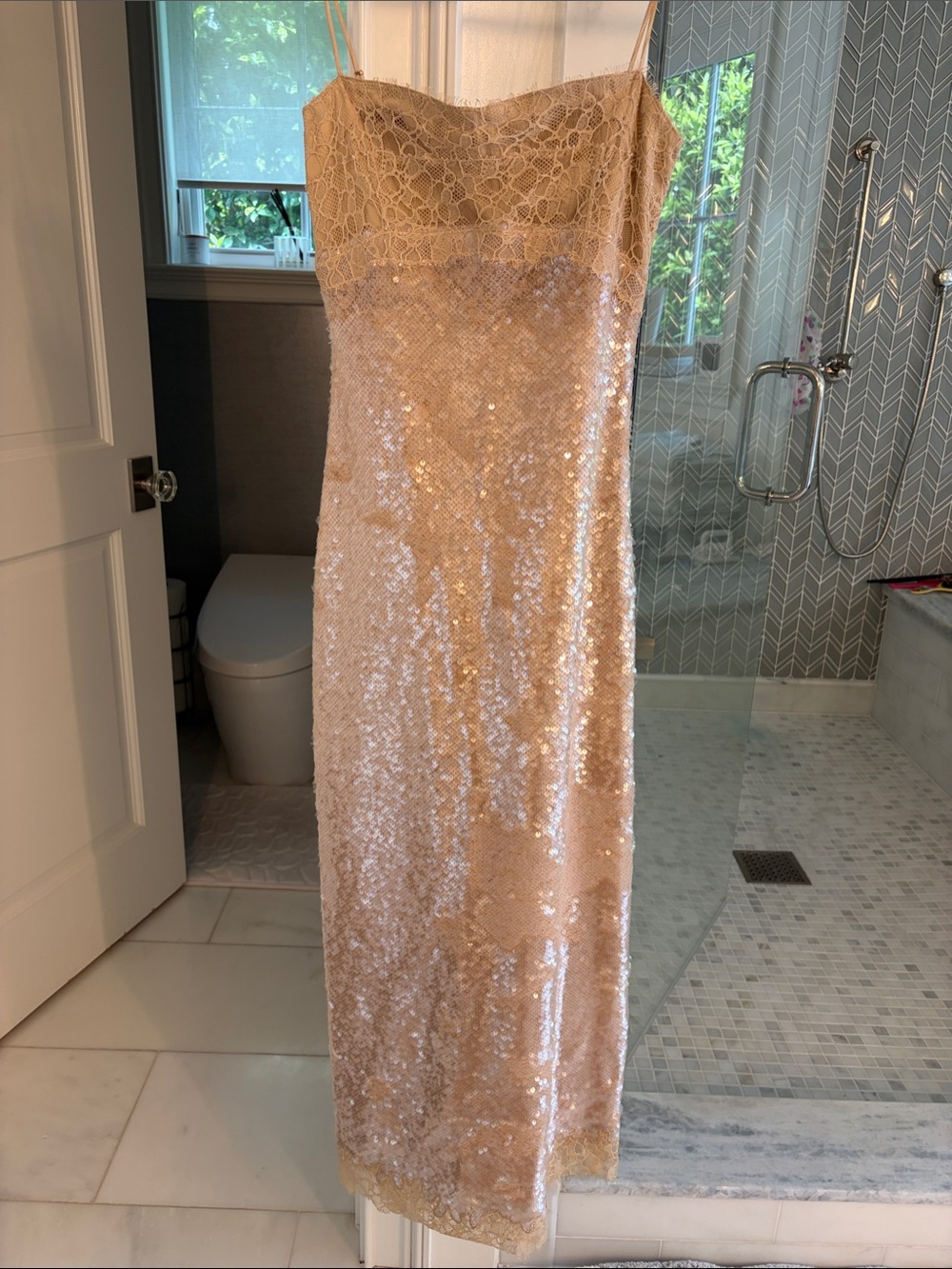 Sequin Lace Slip Dress in Champagne